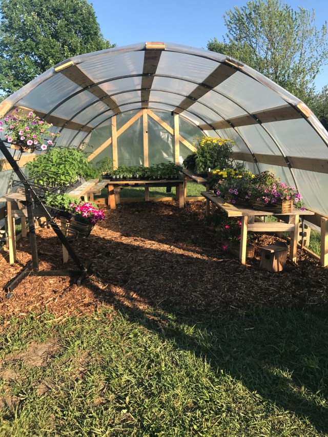 The Narrow Way Farm photo 9